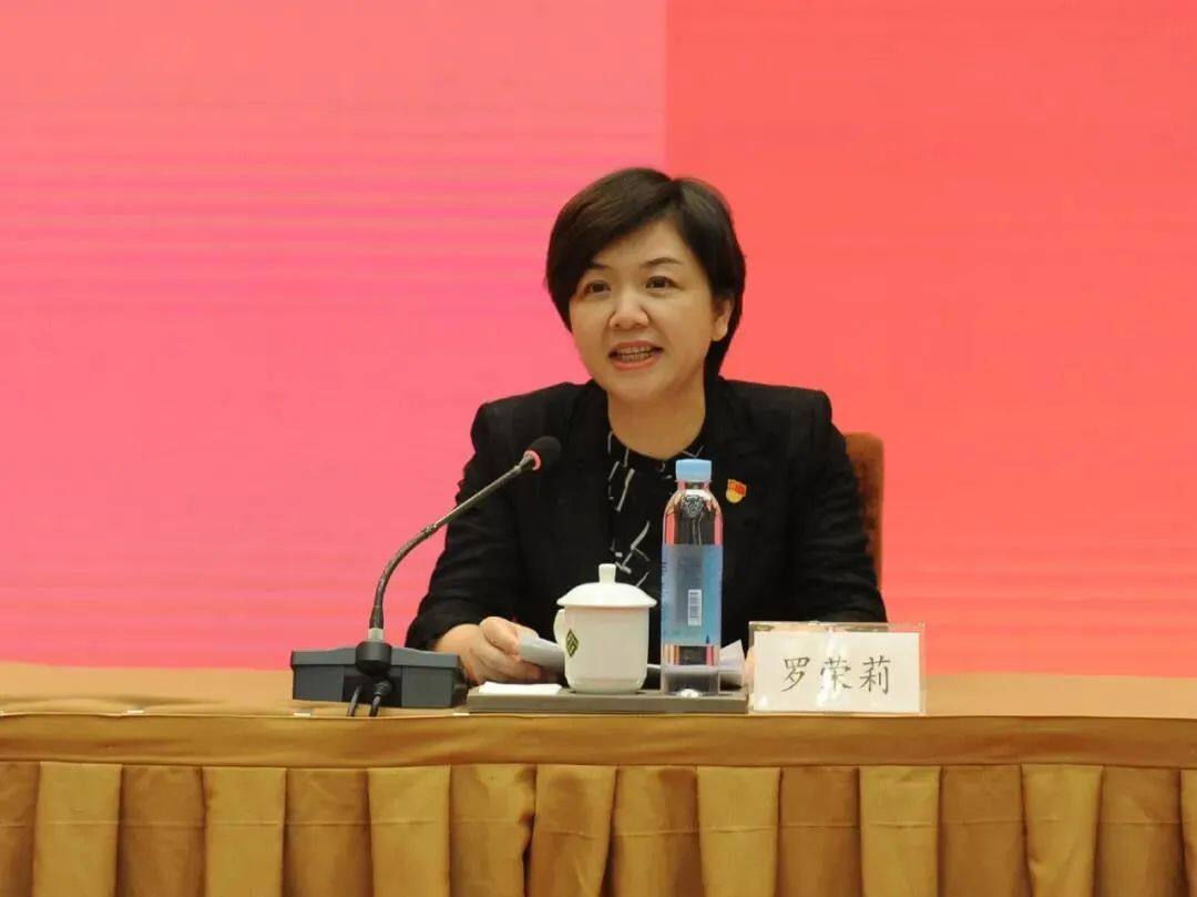 自治区政府驻京办党组书记,主任,驻京机构党委书记罗荣莉