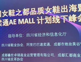 中国女鞋之都品质女鞋出海线下峰会顺利召开