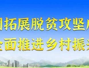 一图读懂 | 五届市政协常委会工作报告