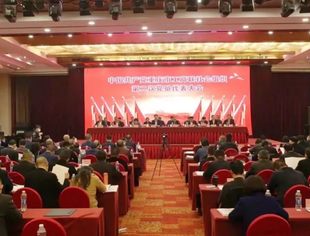 【川商青委会】我会党支部书记冉启龙参加中共重庆市工商联社会组织第二次党员代表大会