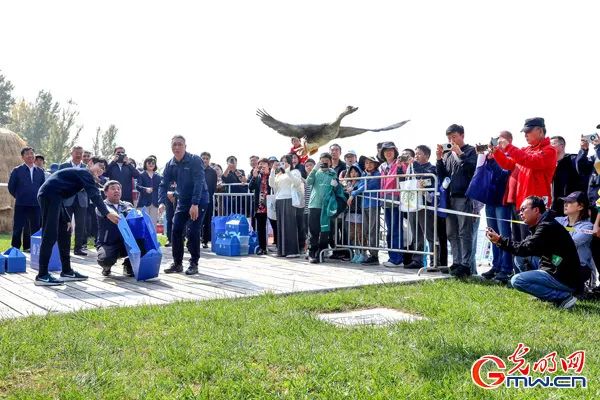 北京首批“观鸟基地”及首个“观鸟培训基地”获授牌 北京首批“观鸟基地”及首个“观鸟培训基地”获授牌