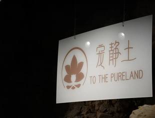 【川商青委会】新会员亮相| 重庆宠静土宠物服务有限公司