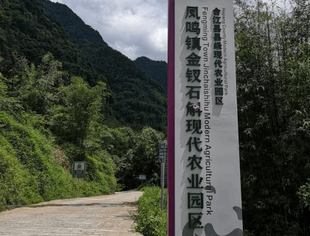 【乡村振兴】合江妙灵中药材开发有限公司