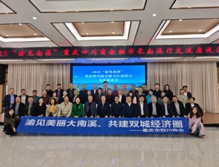 共探合作新机遇：重庆市商协会秘书长南溪考察行