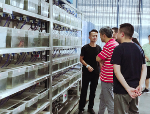 【乡村振兴】一次考察、三家合作——重庆市四川商会会长刘达平带队考察百岛湖公司