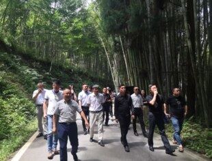 【乡村振兴】情系家乡、回报桑梓——会长刘达平联合深圳华侨城、西证渝富深入大竹县考察