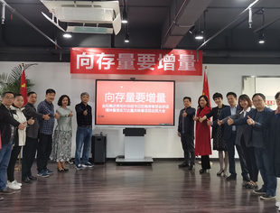 向存量要增量——会长单位金阳集团召开传达许洪斌书记在南岸区商贸会上讲话精神暨万达重庆映像项目实施动员大会