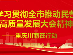 及时组织、现场学习、深度交流  ——我会召开专题会议传达全市推动民营经济高质量发展大会精神