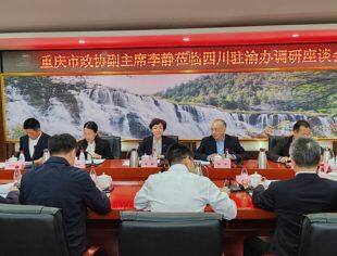 李静赴四川省政府驻渝办事处调研成渝地区双城经济圈建设 四川商会领导参加调研座谈