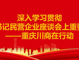 （一）重庆市四川商会深入学习贯彻习近平总书记民营企业座谈会上重要讲话精神