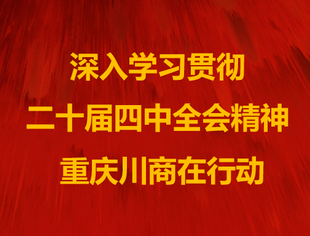 深入学习贯彻中国共产党第二十届中央委员会第四次全体会议精神(一)