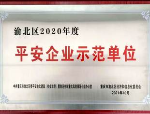 【喜讯】热烈祝贺我会副会长单位重庆段氏服饰实业有限公司被评选为“平安企业示范单位”