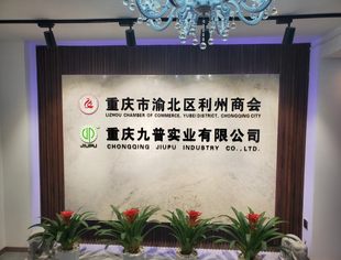 每日川企推荐丨重庆九普实业有限公司