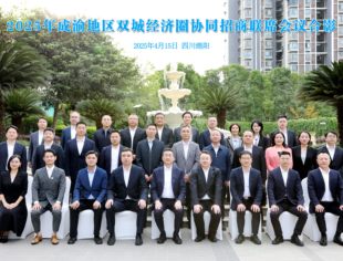 联席会长王嵩应邀参加成渝地区双城经济圈协同招商联席会议