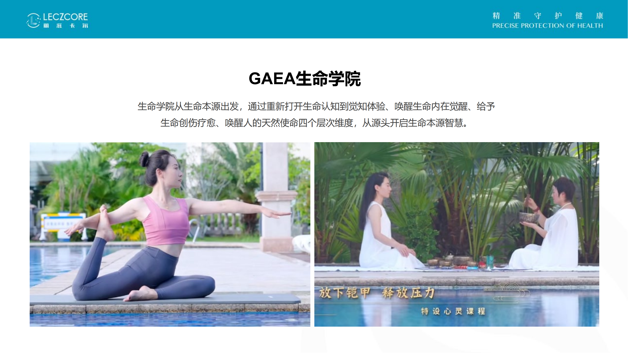 丽滋卡尔集团介绍-中文版_47.png