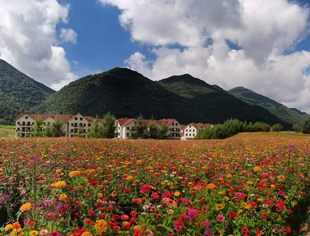 川商推荐 | 红池坝景区（坝尚花都酒店）