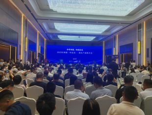 新疆·阿克苏—重庆产业推介会在渝成功举办，共绘合作新蓝图