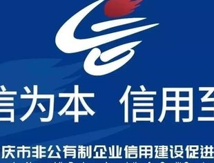 《中共重庆市委、重庆市人民政府关于促进民营经济高质量发展的实施意见》发布