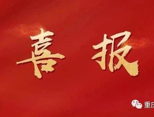 【喜报】我会会长游洪涛单位、执行会长余亚军单位、副会长兰智慧单位获重要荣誉