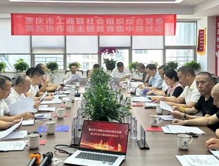 我会支部书记蒋维胜参加工商联社会组织综合党委第五协作组主题教育集中研讨会议，并与重庆市湖南商会签署信用共建战略合作协议