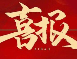 【喜报】我会会长游洪涛单位华森制药和执行会长单位美利信科技荣登“2023重庆民营企业100强”榜单