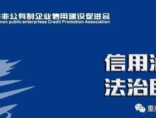重庆市人民政府市长胡衡华：重庆市人民政府工作报告（全文）