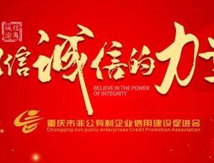 关于重庆市非公有制企业信用建设促进会第二届负责人建议人选名单的公示
