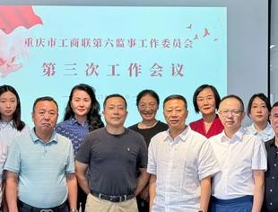【信用合规】我会秘书长蒋维胜参加重庆市工商联直属商（协）会第六监事工作委员会第三次会议 宣贯《关于健全社会信用体系的意见》精神