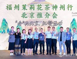我会常务理事陈宾携螺江茗茶再次“香”约北京茶博会