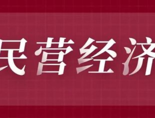 山东省为民营经济发展立法