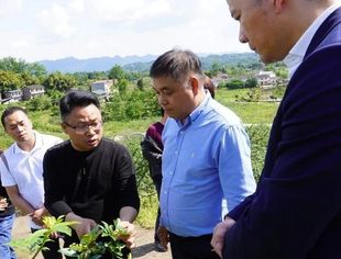 商会动态丨为乡村振兴注入新活力——重庆市温州商会赴垫江大石乡考察乡村振兴项目
