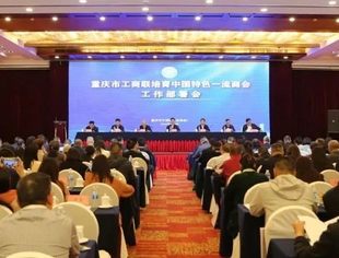 商会动态丨我会参加市工商联培育中国特色一流商会工作部署会