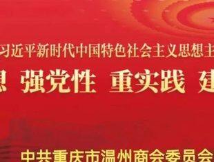 【商会党建】 理论学习（九）丨习近平主持召开深入推进长三角一体化发展座谈会