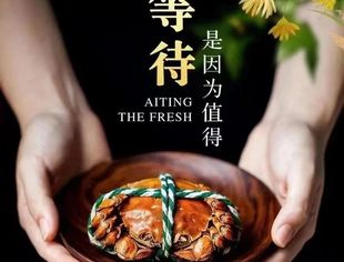 【今日温企】速来！江苏阳澄湖大闸蟹9月底开捕在即~