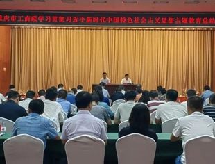商会党建丨我会党委组织委员吴思方参加市工商联学习贯彻习近平新时代中国特色社会主义思想 主题教育总结会议