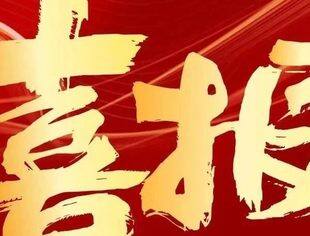 喜报丨热烈祝贺重庆市温州商会再度荣获全国“四好”商会荣誉