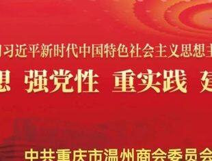 【商会党建】理论学习2024第13期（总第27期）丨理论武装凝心铸魂 实干担当携手奋斗