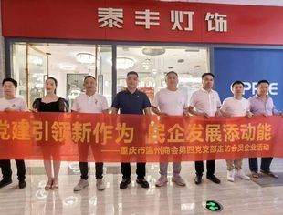【党建引领新作为•民企发展添动力⑦】重庆市温州商会第四党支部参观重庆泰丰照明科技有限公司