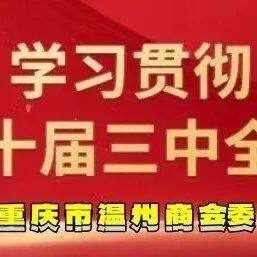 【商会党建】理论学习2024第26期（总第40期）丨从党的二十届三中全会决定看进一步全面深化改革聚力攻坚
