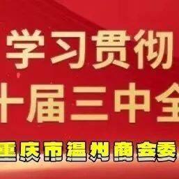 【商会党建】理论学习2024第29期（总第43期）丨深刻领悟习近平文化思想蕴含的道理学理哲理