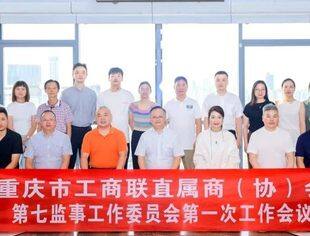商会动态丨重庆市工商联直属商（协）会第七监事工作委员会第一次工作会议成功召开