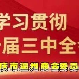 【商会党建】理论学习2024第31期（总第45期）丨习近平：在党的二十届三中全会第二次全体会议上的讲话