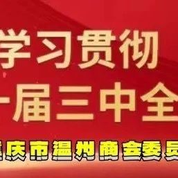 【商会党建】理论学习2024第33期（总第47期）丨中国共产党重庆市第六届委员会第六次全体会议决议