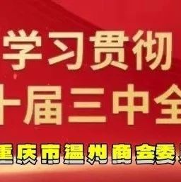 【商会党建】理论学习2024第41期（总第55期）丨人民日报任平文章：中国经济怎么看——既要正视困难，更要坚定信心