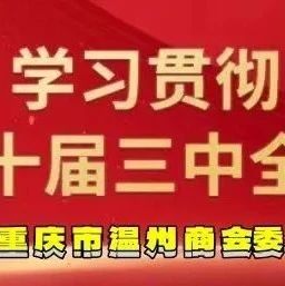 【商会党建】理论学习2025第1期（总第59期）丨国家主席习近平发表二〇二五年新年贺词