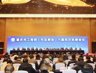 商会党建丨奋楫扬帆立潮头凝心聚力谱新篇——市工商联执委、重庆市温州商会党委书记颜贻骥参加重庆市工商联（市总商会）六届四次执委会议