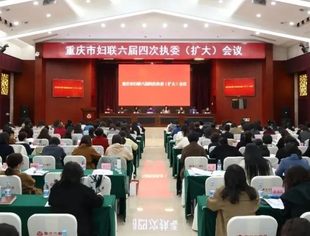 妇联动态丨我会妇联主席王菊阳受邀参加重庆市妇联六届四次执委（扩大）会议