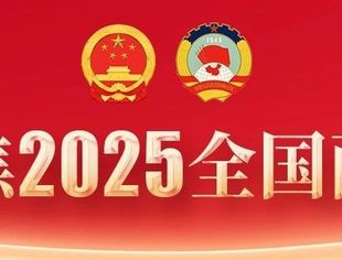 关注全国两会丨一图速览2025年政府工作报告
