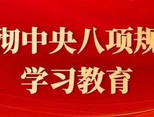 商会党建丨重庆市温州商会党委召开深入贯彻中央八项规定精神学习教育总结会