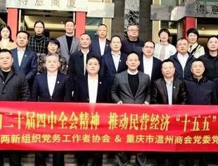 商会党建丨携手并进谋发展互学互鉴启新程——温州市两新组织党务工作者协到访我会交流党建工作